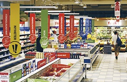 [RGDISEVO-2.0-1250] EVOLUTION BOARD 2.0MM 1250 X 2320