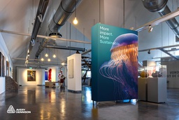 [MPISP3523-1370] AVERY MPI SP 3523 WM-PG PVC FREE 1370 X 50